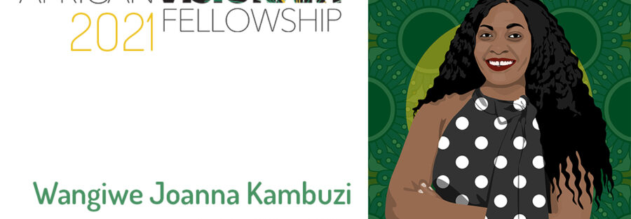 Mzuzu E Hub Founder among 12 African Visionary Fellowship participants